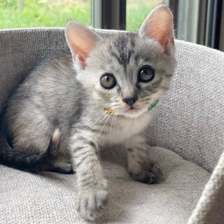 「面談予定」まったり♪「カルビー」ちゃん❤