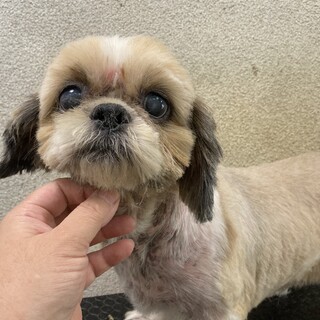 お話し中募集一時ストップ