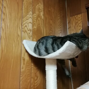 の写真
