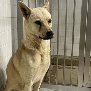 9月3日期限です！