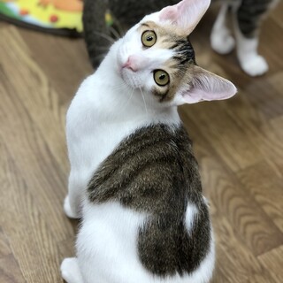 優しく可愛い顔のイケメン君♡