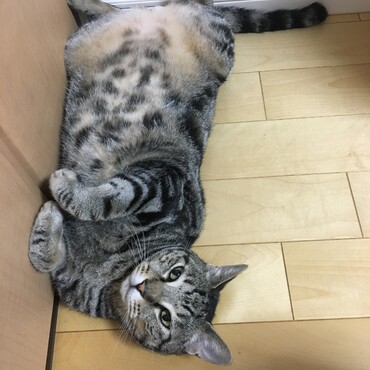 起きちゃった！！寝てる時かわいかったのにー！