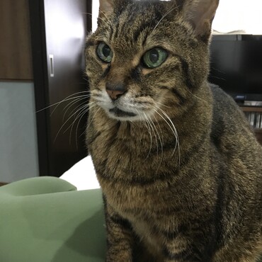 の写真