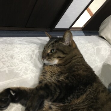 の写真