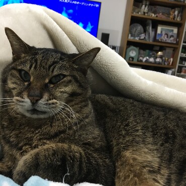 の写真