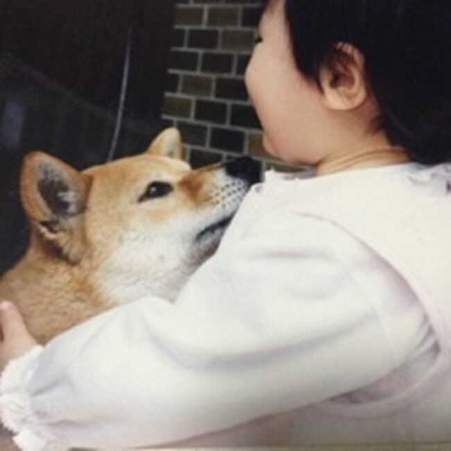 小松ゆきほのカバー写真