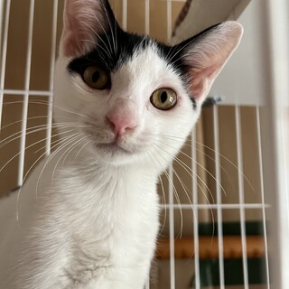元気いっぱいの2ヶ月の男の子！