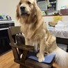 ゆっけん