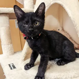 元気いっぱい☆片目のメメくん☆