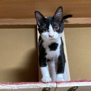 雫（しずく）といっぱい遊んで。