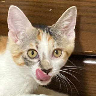 リコと一緒に遊んで！！