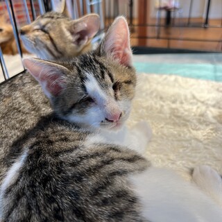 目は見えないけど甘えん坊☆