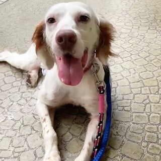 性格抜群！！セッターのりょう君