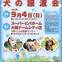 NPO法人アニマルはにまる高槻による犬・猫譲渡会