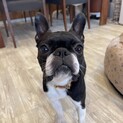 おめでとナナちゃん♡