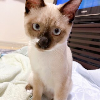 9/4西千葉ෆ⃛元気な男の子ですෆ⃛ジャムくん