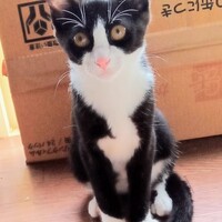 ナーレ