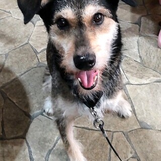 ハンディに負けず頑張るシニア男子ふじ