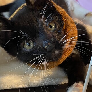 MAX君ありがとうございました！