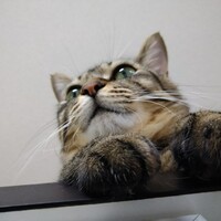 みい