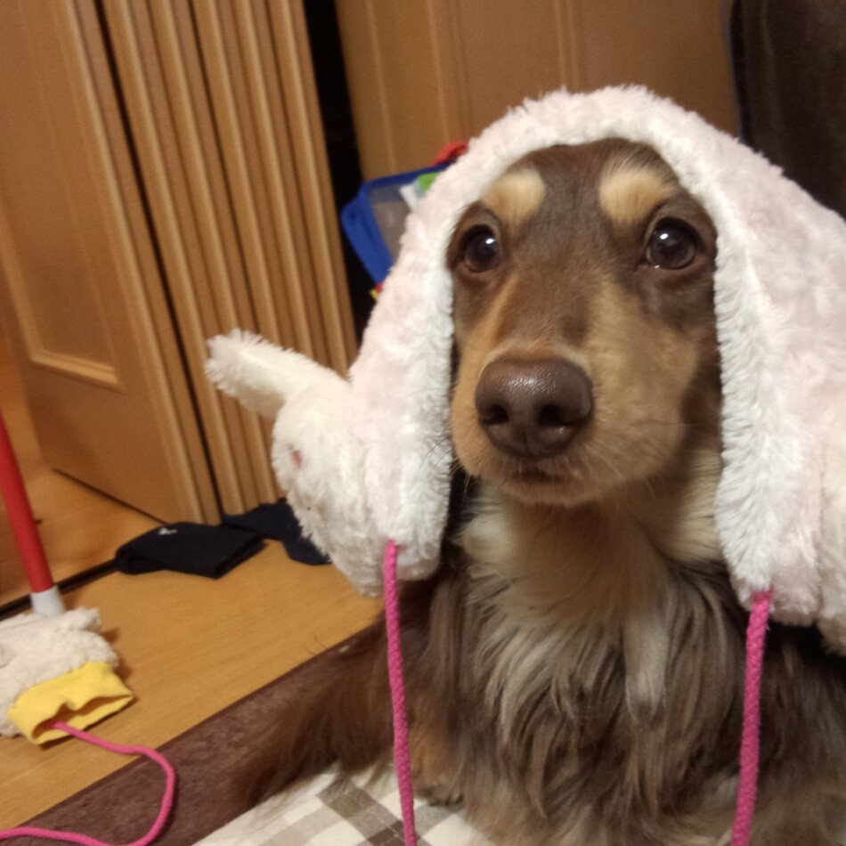 そらのカバー写真