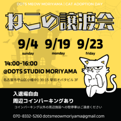 名古屋市守山区/ねこの譲渡会/0904