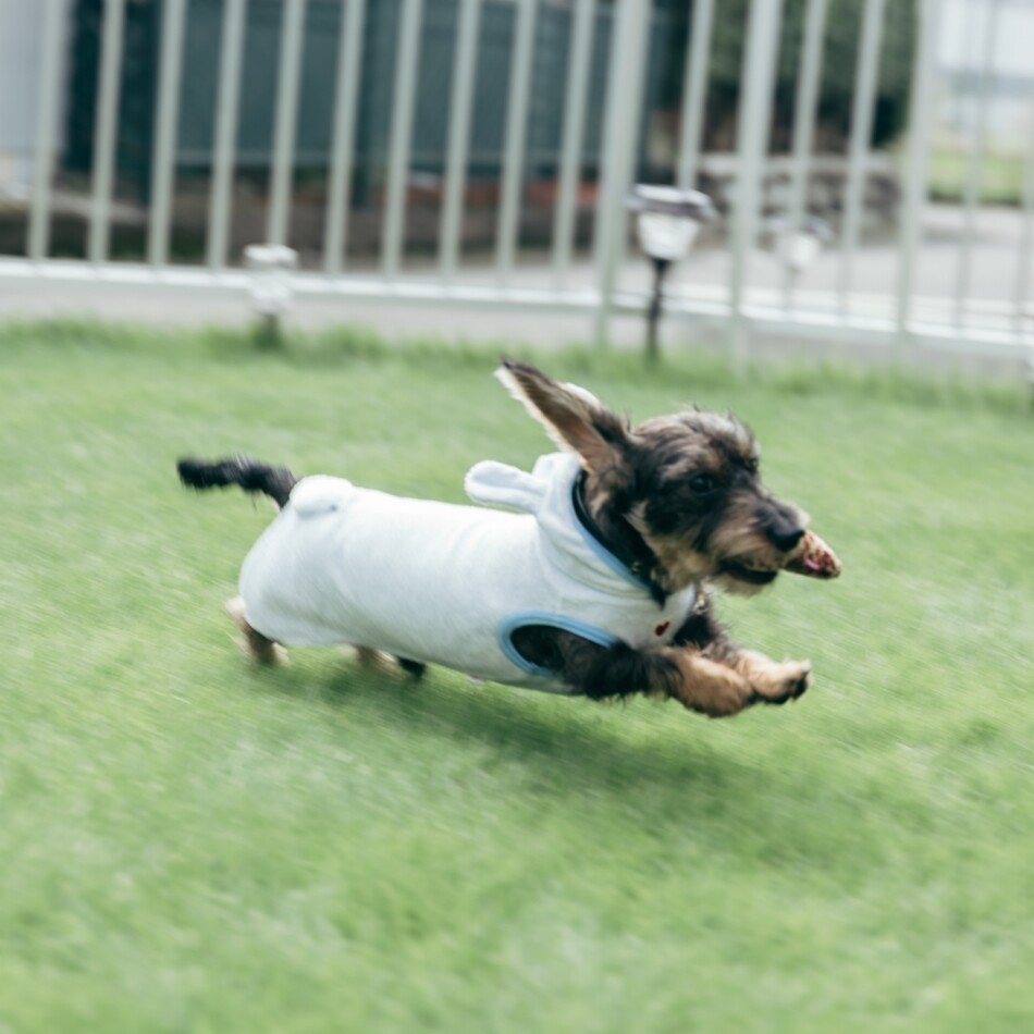 蛍輔のカバー写真