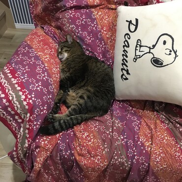 の写真