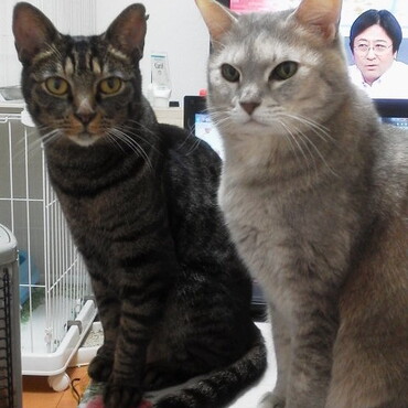 の写真