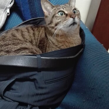 の写真