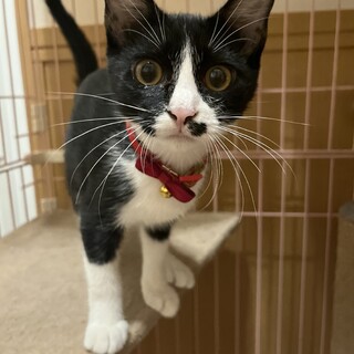 素敵な家族が見つかりました♡そぼろ