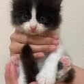 危機一髪で救った命