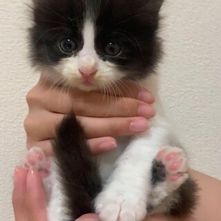 危機一髪で救った命