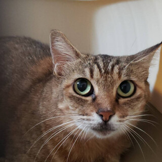 ナデナデ大好き、柿ピーちゃん♪