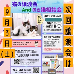 猫にゃんネットワーク府中★譲渡会andのらねこ相談会 サムネイル1