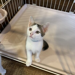 4兄妹の中で唯一の男の子☆じす