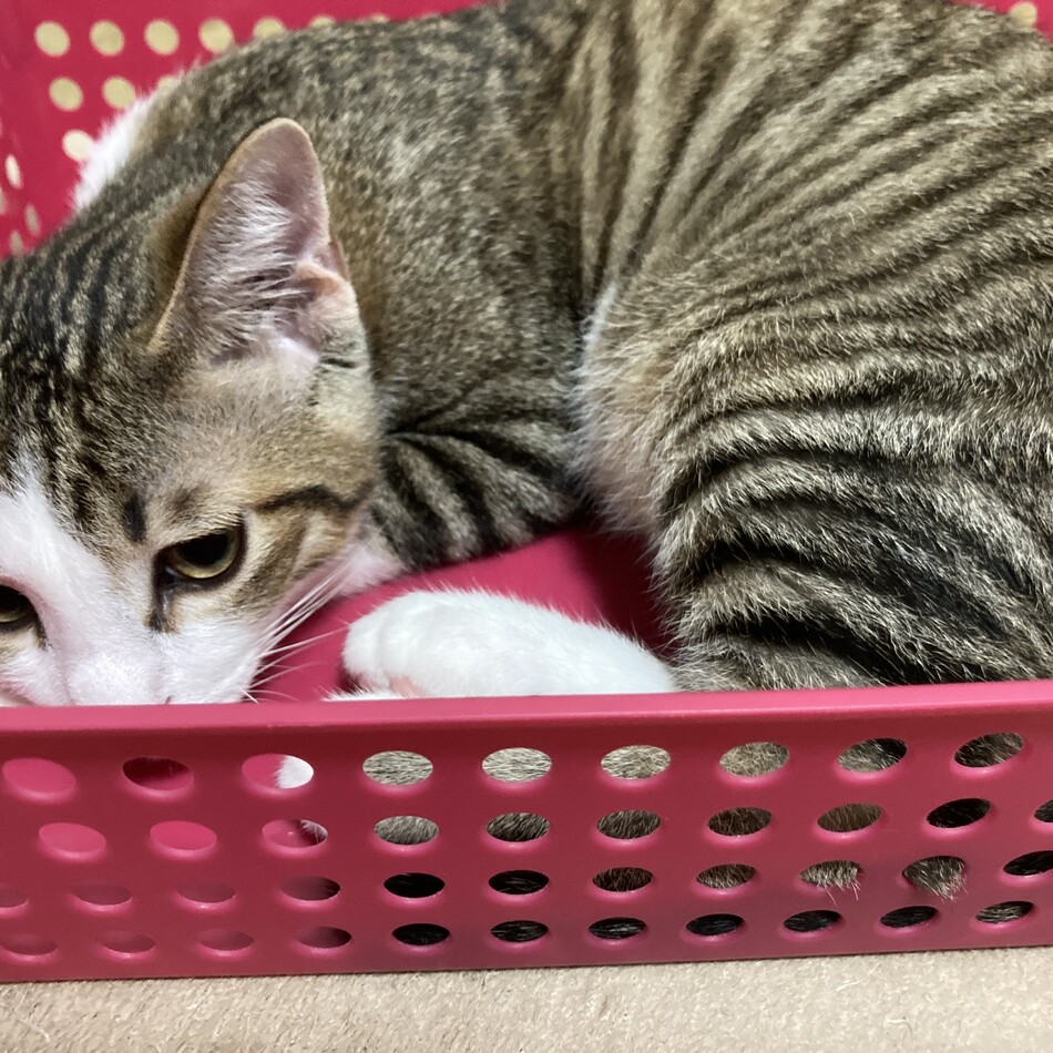 うみのカバー写真