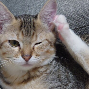 蹴られることもあります。いてーよ。