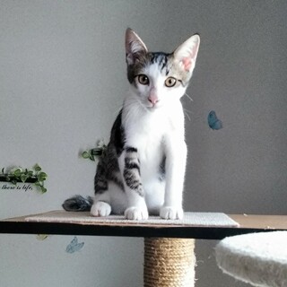 甘えん坊♡はる君です☆