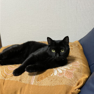 すりすり大好き、まん丸顔のじじちゃん