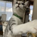 甘えん坊でおしゃべりなぐぐちゃん