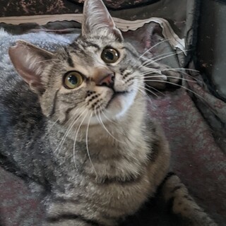 とびきり甘ったれの気立てのいい子