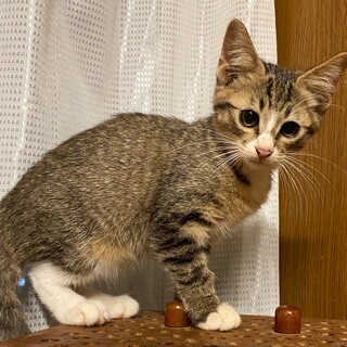 元気いっぱいの6月22日産まれの男の子