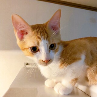 9/4西千葉ෆ⃛わんぱくで食いしん坊ෆ⃛ゆずくん