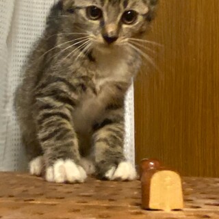 6月22日産まれの元気な男の子