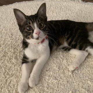 海(うみ)ちゃん☆