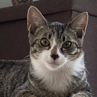 ひょうきん活発甘えん坊！スペシャル可愛い男の子♡