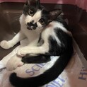 ピタッとくっつく甘えん坊♡すずちゃん