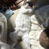 至福のとき