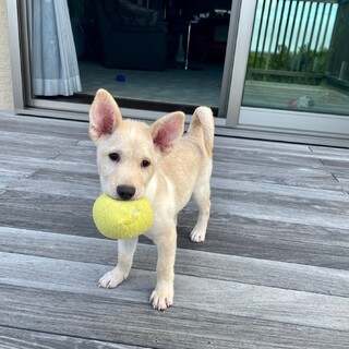 多方面から応募有り募集ストップします。
